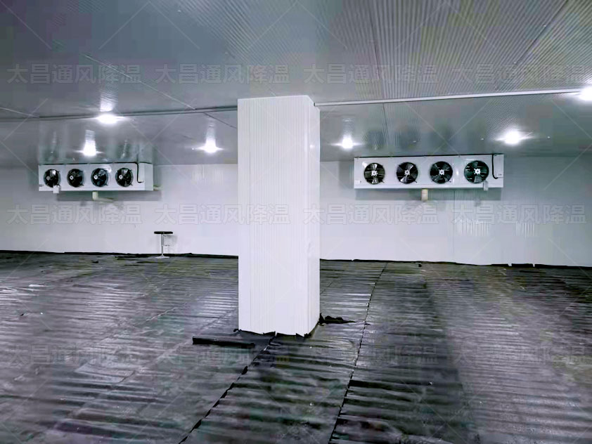 生鮮冷庫、物流冷庫冷鏈為農(nóng)產(chǎn)品保駕護(hù)航