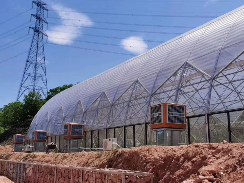 車間如何降溫？什么通風降溫設備節(jié)能省電