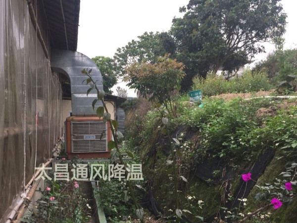 餐廳太熱？環(huán)保空調(diào)為你送清風(fēng)