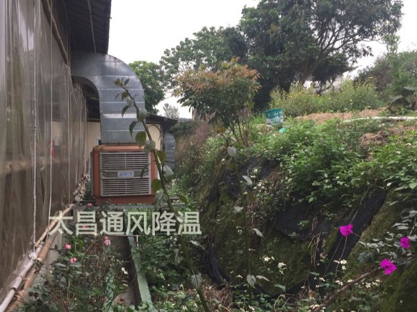 天氣太熱?環(huán)?？照{(diào)為你的餐廳守護(hù)清涼