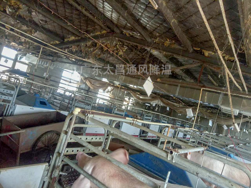 養(yǎng)殖場通風降溫常用設備3